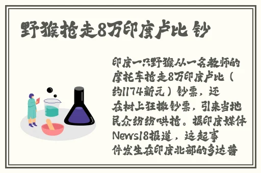 freezeframe丰满少妇